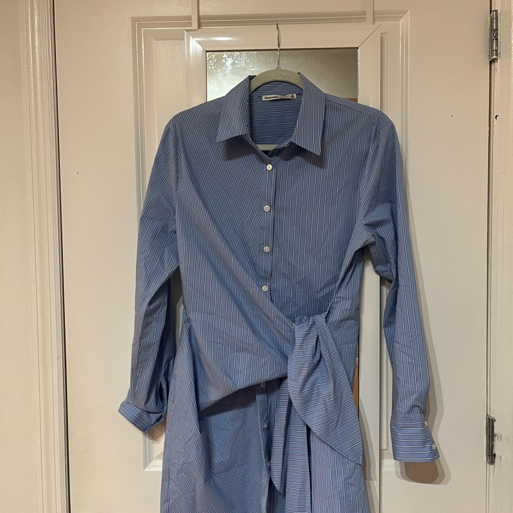 Abercrombie & Fitch Blue Pinstripe Wrap Shirt Dress